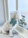 PACK VELVET BABY-BLUE