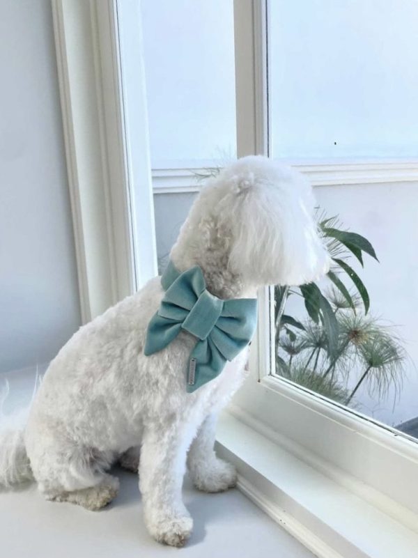 PACK VELVET BABY-BLUE