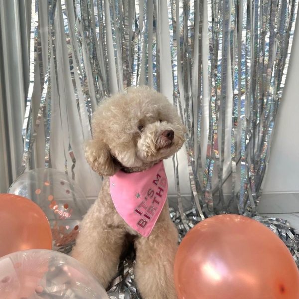 BANDANAS CUMPLEAÑERAS