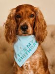 BANDANAS CUMPLEAÑERAS