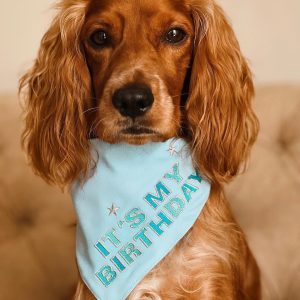 BANDANAS CUMPLEAÑERAS