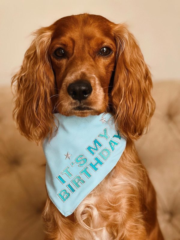 BANDANAS CUMPLEAÑERAS