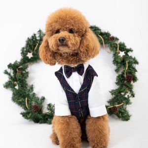SACO ELEGANTE