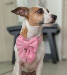 PACK BASICO VELVET ROSADO