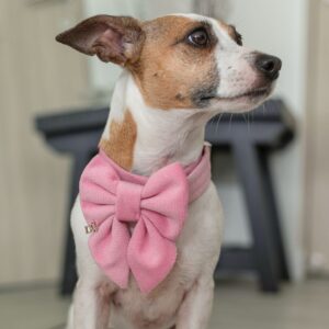 PACK BASICO VELVET ROSADO