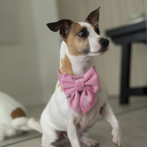 PACK BASICO VELVET ROSADO