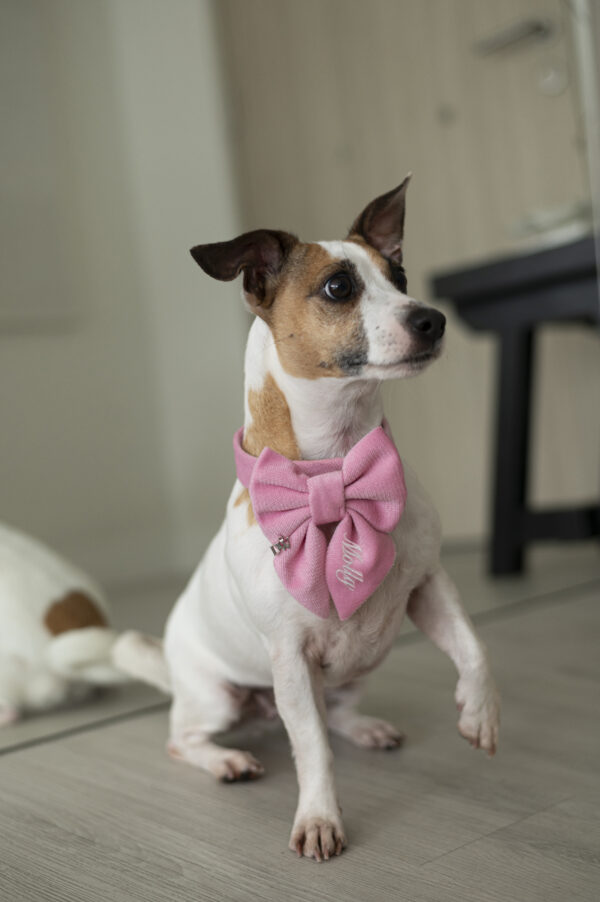 PACK BASICO VELVET ROSADO