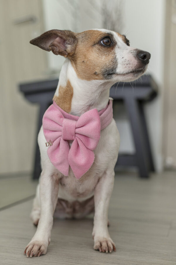 PACK BASICO VELVET ROSADO