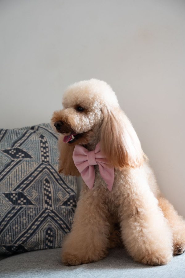 PACK BASICO VELVET ROSADO