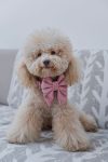 PACK BASICO VELVET ROSADO