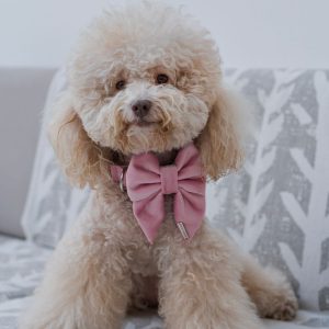 PACK BASICO VELVET ROSADO
