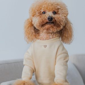 hoodie2