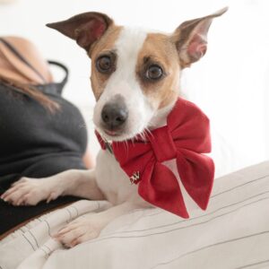 PACK BASICO VELVET ROJO