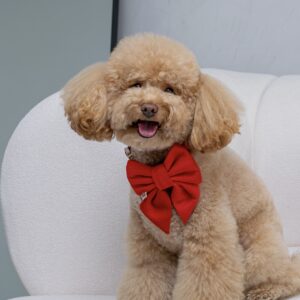 PACK BASICO VELVET ROJO