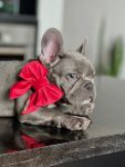 PACK BASICO VELVET ROJO