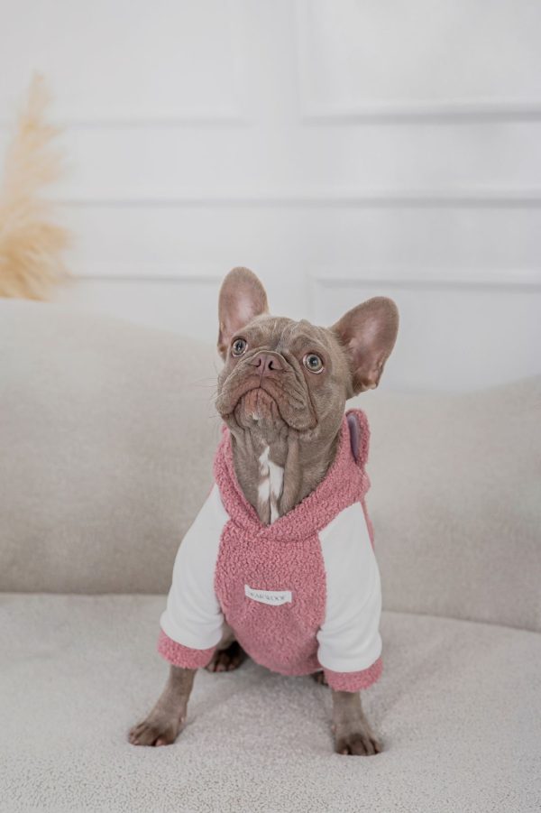 HOODIE BEAR