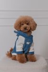 HOODIE BEAR