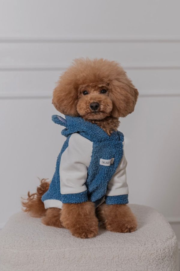 HOODIE BEAR