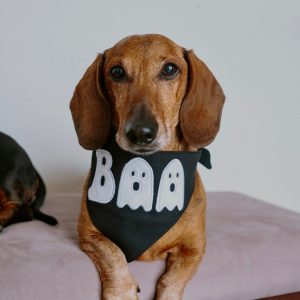 BANDANA BOO