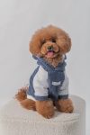 BEAR HOODIE