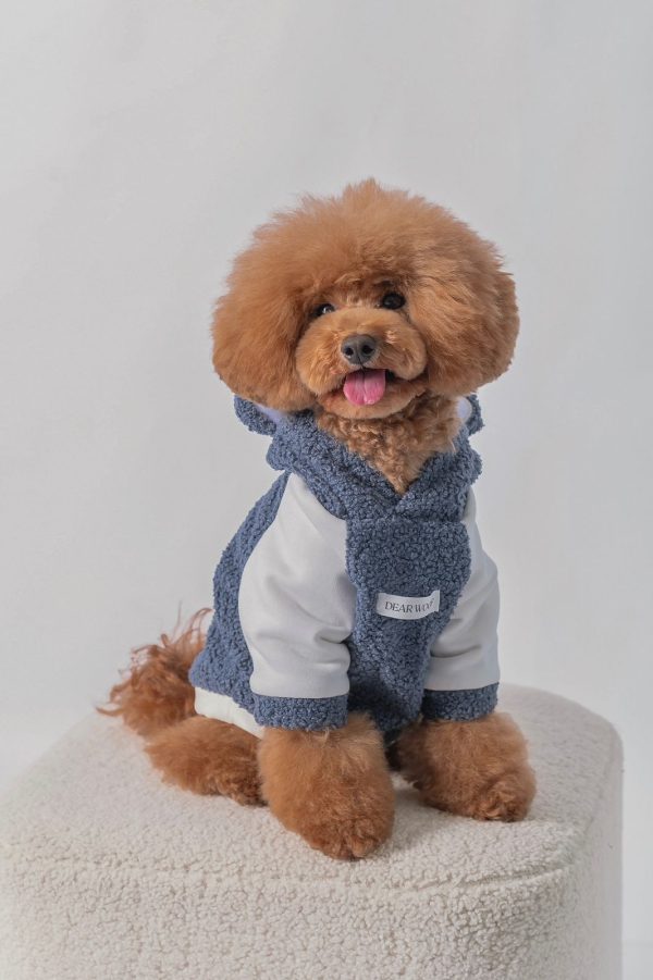 BEAR HOODIE
