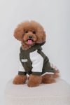 BEAR HOODIE