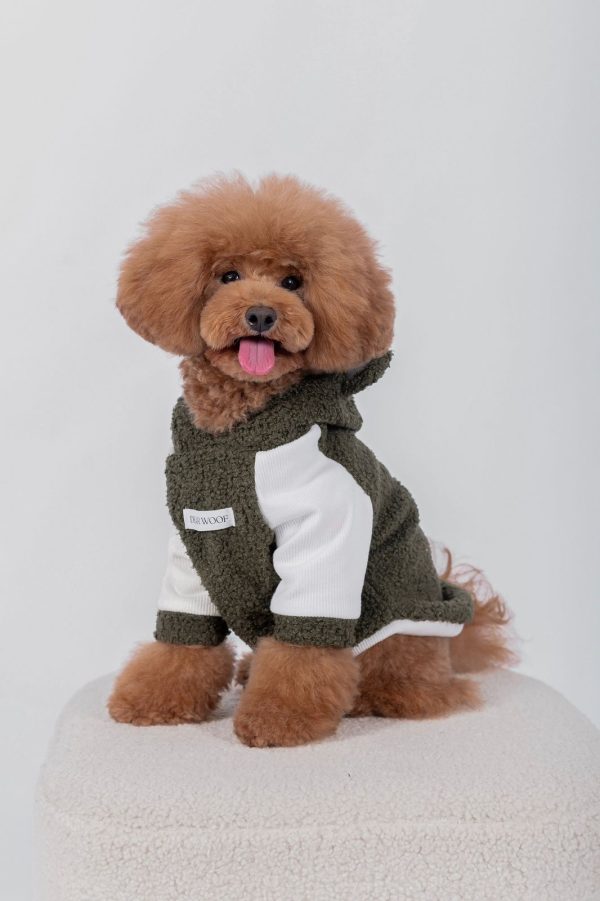 BEAR HOODIE