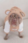 BEAR HOODIE