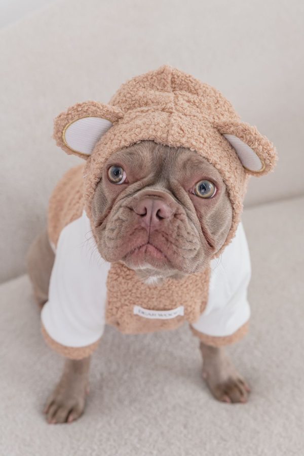 BEAR HOODIE