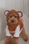 HOODIE BEAR