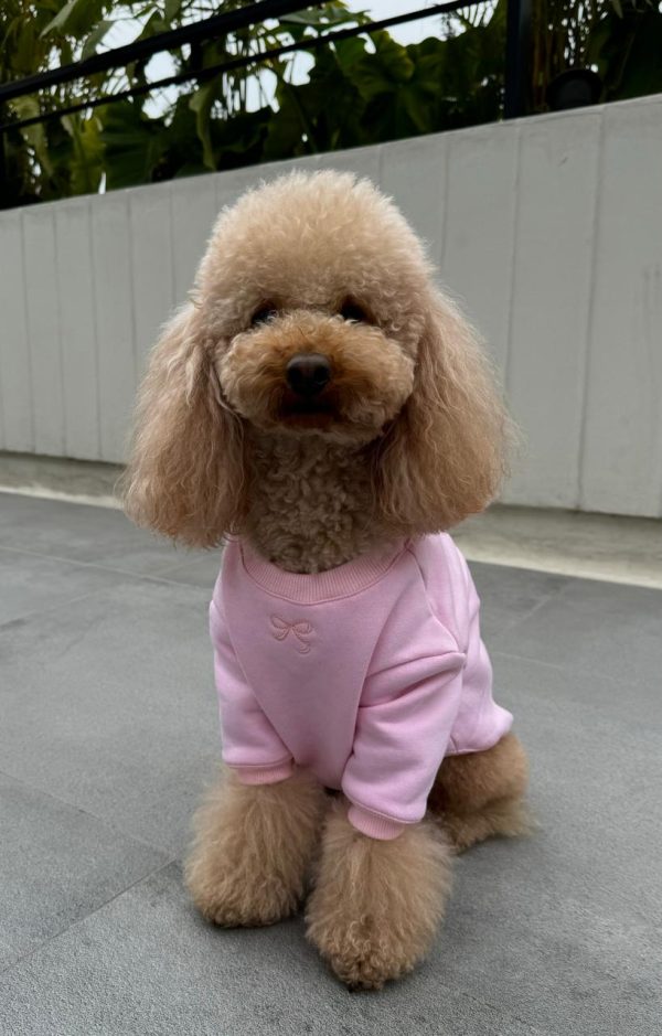 HOODIE CUTE BEAR