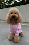 HOODIE CUTE BEAR