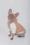 BEAR HOODIE