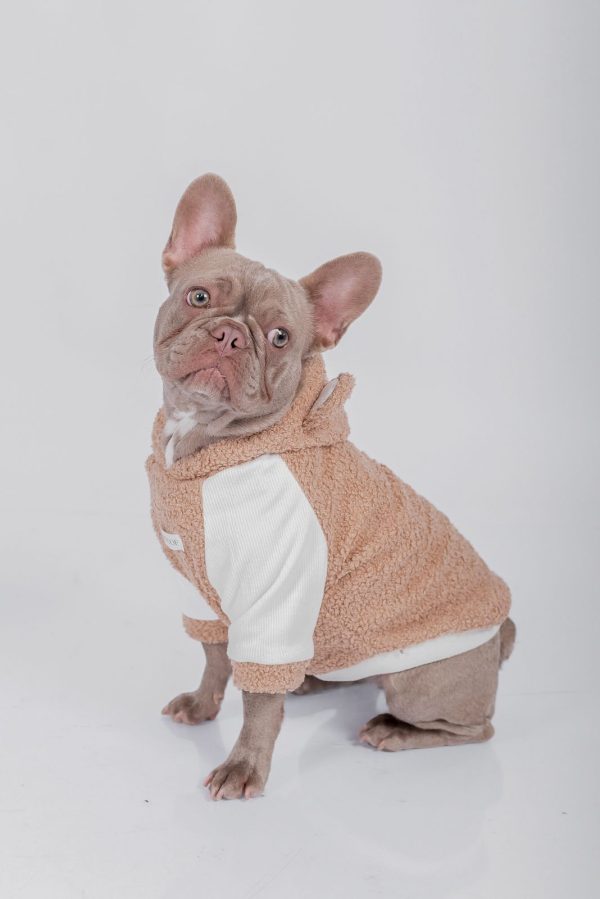 BEAR HOODIE