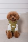 HOODIE BEAR