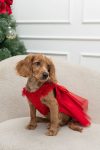 VESTIDO CHRISTMAS
