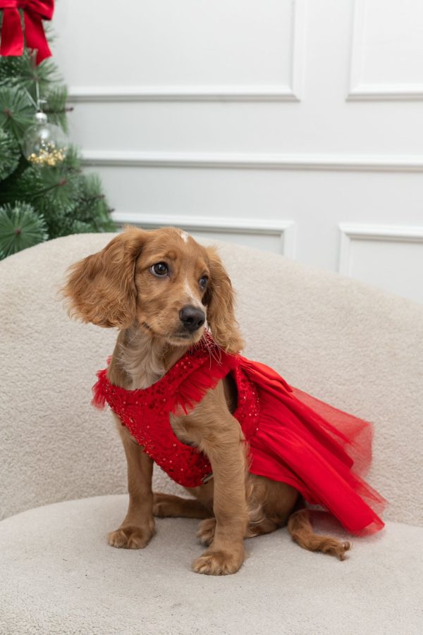 VESTIDO CHRISTMAS