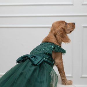 5426100a-f710-4470-9127-003a0f281d41