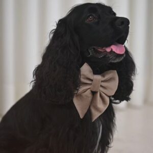 PACK BASICO VELVET GREIGE