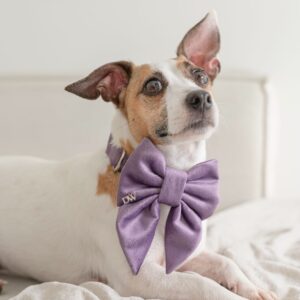 PACK BASICO VELVET MALVA
