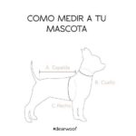 PACK BASICO VELVET LEOPARDO
