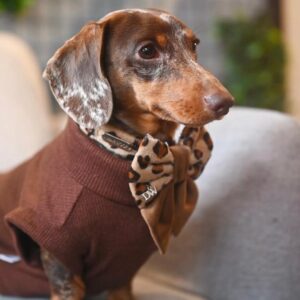 PACK BASICO VELVET LEOPARDO