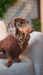 PACK BASICO VELVET LEOPARDO