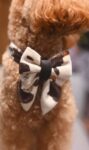 PACK BASICO VELVET COW