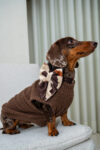 PACK BASICO VELVET COW