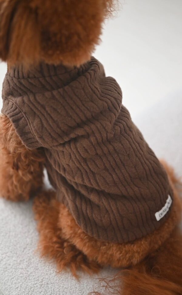 COZY NECK