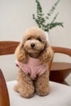 COZY NECK