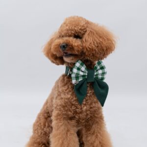 2b0a1cc3-524b-4a5d-864a-2d45dc7054e7