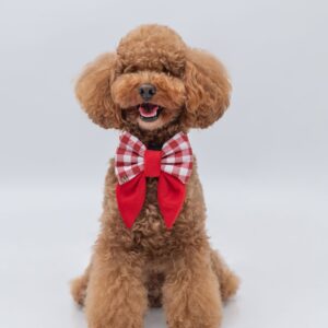 PACK BASICO CHRISTMAS