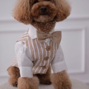 51cd244c-2656-4347-89f4-2bf5a6ae812d